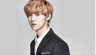 爆料鹿晗炒作事件视频下载,揭秘背后真相与争议 第2张 爆料鹿晗炒作事件视频下载,揭秘背后真相与争议 第2张